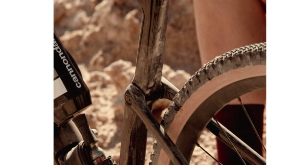 Topstone Carbon 1 RLE S - Image 5