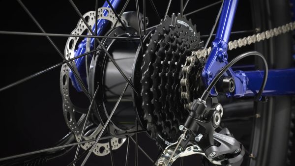 Dual Sport+ 2 Stagger L - Image 4